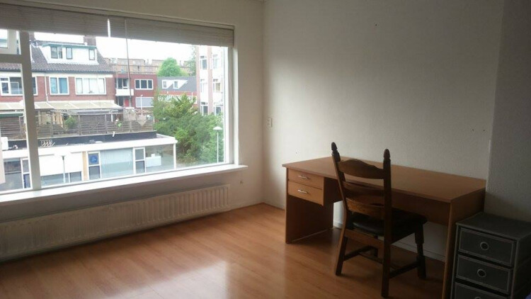 Aan de rustige kant van het huis en de koele kant in de ochtend