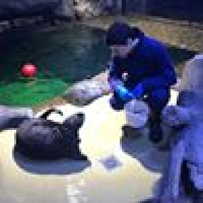 João Pedro zoekt een Kamer / Studio in Utrecht